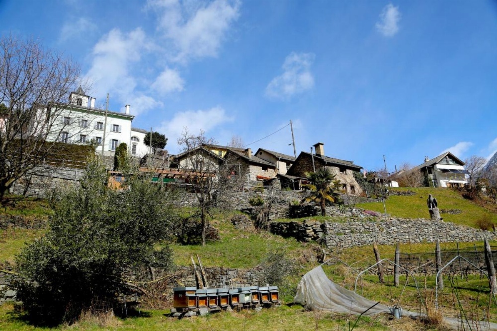 Casa Dosc Image 14